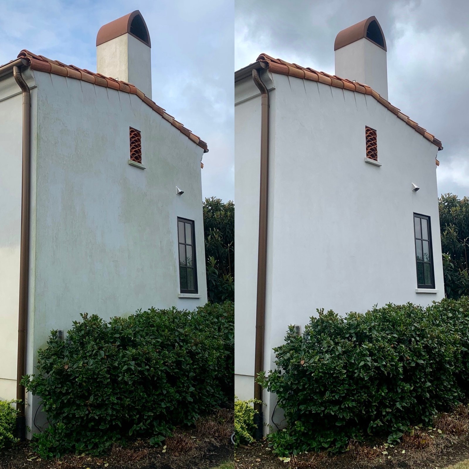 20210803 175613028 ios.jpg