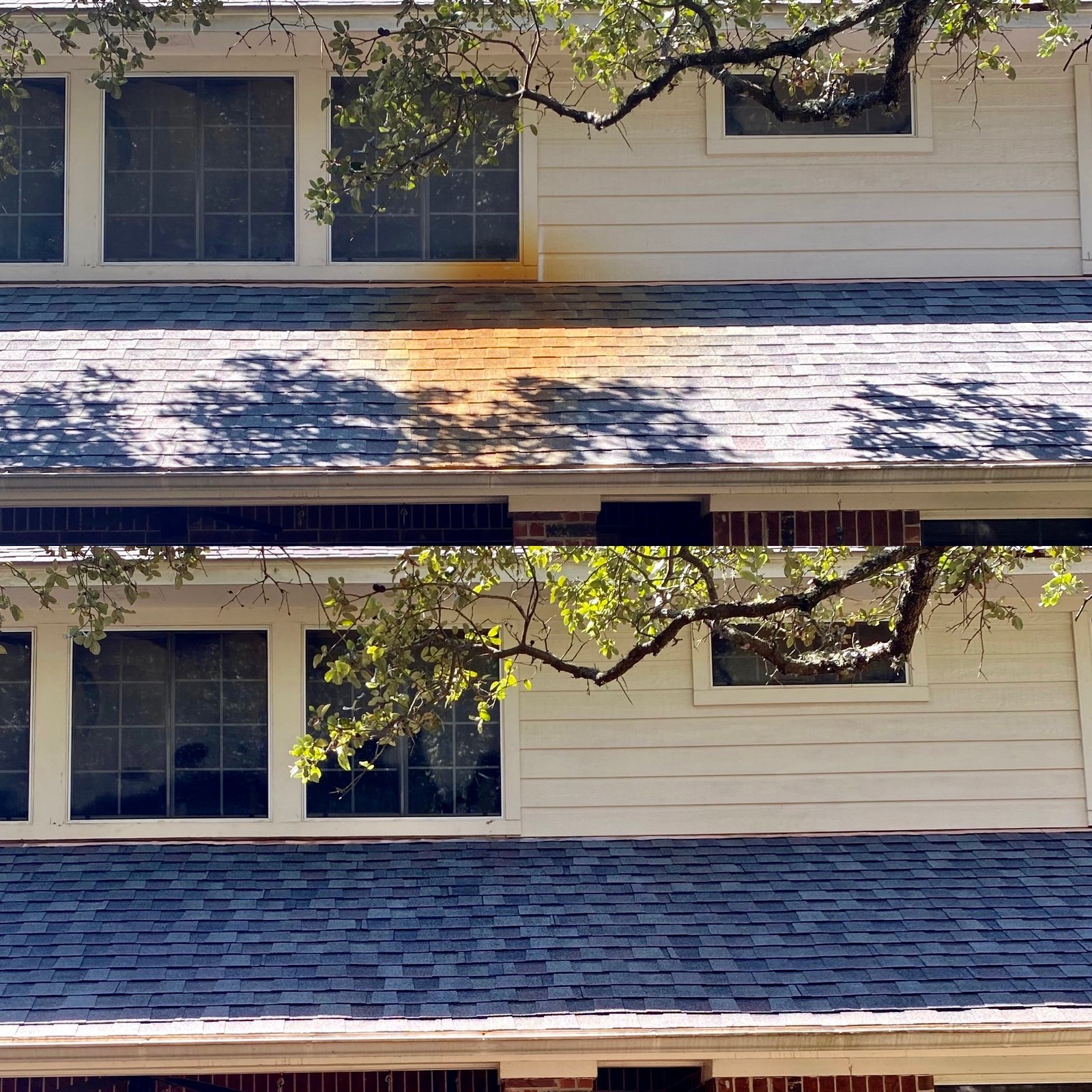 20210803 180412137 ios.jpg