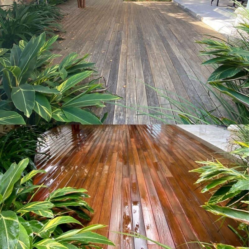 pressure washing ecofriendly plants safe e1603319014588.jpg